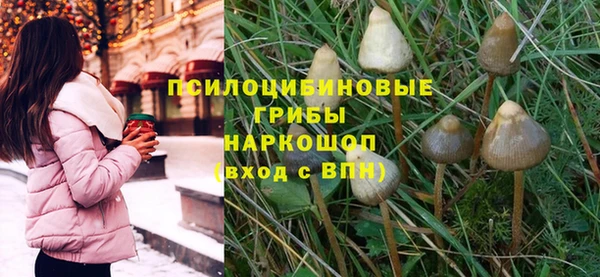 Альфа ПВП Белокуриха