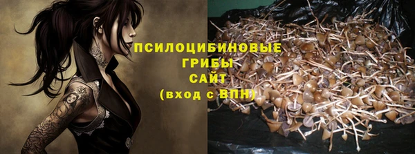 Альфа ПВП Белокуриха