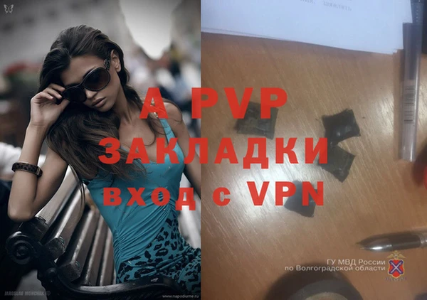 твердый Беломорск
